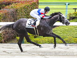 カラーパネル2023年5月7日東京1R 3歳未勝利(テンホワイトラブ)