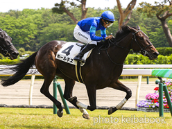 カラープリント(アルミ枠なし)2023年5月13日新潟5R 3歳未勝利(ホールネス)