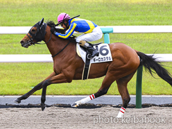 カラーパネル2023年5月14日京都1R 3歳未勝利(ギーロカスタル)