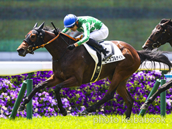 カラープリント(アルミ枠なし)2023年5月20日京都4R 3歳未勝利(ピースフルナイト)