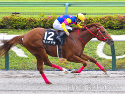 カラープリント(アルミ枠付き)2023年6月4日東京12R 小金井特別(マニバドラ)