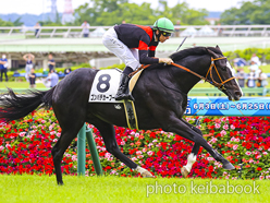 カラーパネル2023年6月10日東京5R 2歳新馬(ゴンバデカーブース)