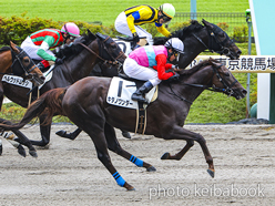 カラープリント(アルミ枠付き)2023年6月10日東京6R 3歳未勝利(キタノワンダー)