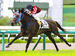 カラーパネル2023年6月11日阪神2R 3歳未勝利(ポンテニオ)