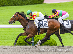 カラープリント(アルミ枠なし)2023年6月11日阪神3R 3歳未勝利(ブラーヴ)