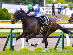 カラーパネル2023年6月11日函館9R 遊楽部特別(アルジーヌ)