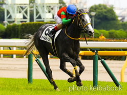 カラーパネル2023年6月18日東京7R 3歳以上1勝クラス(マイネルモーント)