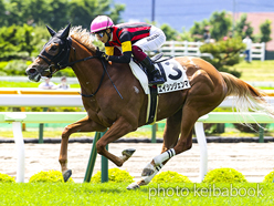 カラープリント(アルミ枠なし)2023年6月18日函館6R 3歳未勝利(エイシンジェンマ)