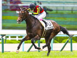 カラープリント(アルミ枠付き)2023年6月25日阪神2R 3歳未勝利(アルタビスタ)