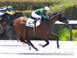 カラーパネル2023年6月25日東京3R 3歳未勝利(ピエフォール)