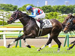 カラーパネル2023年6月25日函館1R 3歳未勝利(スピニングマーリン)