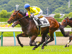 カラープリント(アルミ枠付き)2023年7月1日福島5R 2歳新馬(シリウスコルト)