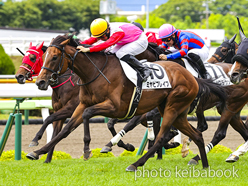 カラープリント(アルミ枠付き)2023年7月1日函館3R 3歳未勝利(ミヤビブレイブ)