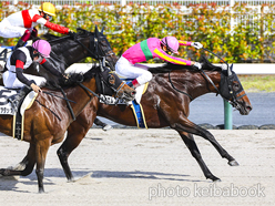 カラープリント(アルミ枠付き)2023年7月2日中京12R 3歳以上1勝クラス(テイエムフェロー)