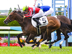 カラーパネル2023年7月2日函館5R 2歳新馬(ワンブランチ)