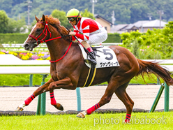 カラーパネル2023年7月8日福島2R 2歳未勝利(ヴァンヴィーヴ)