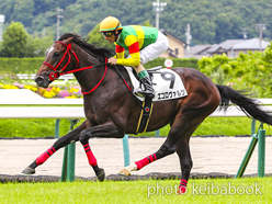 カラープリント(アルミ枠付き)2023年7月8日福島5R 2歳新馬(エコロヴァルツ)