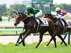 カラーパネル2023年7月8日函館5R 2歳新馬(ドナベティ)