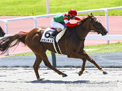 カラープリント(アルミ枠付き)2023年7月16日中京2R 3歳未勝利(エランティス)