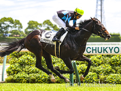 カラーパネル2023年7月16日中京5R 2歳新馬(エンヤラヴフェイス)