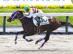 カラープリント(アルミ枠付き)2023年7月23日福島2R 3歳未勝利(セイウンミライズ)