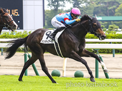 カラーパネル2023年7月30日新潟5R 2歳新馬(カンティアーモ)