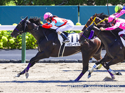 カラープリント(アルミ枠付き)2023年8月12日札幌3R 3歳未勝利(イミュータブル)