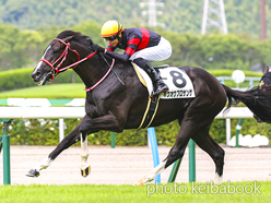 カラープリント(アルミ枠なし)2023年8月13日小倉1R 2歳未勝利(ホウオウプロサンゲ)