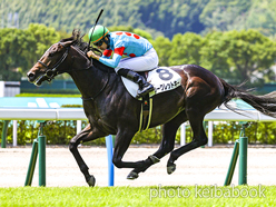 カラープリント(アルミ枠なし)2023年8月19日小倉5R 2歳新馬(シークレットキー)