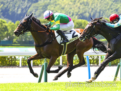 カラープリント(アルミ枠付き)2023年8月19日小倉7R 3歳未勝利(タガノトラリア)