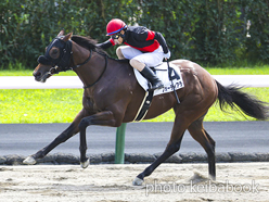 カラーパネル2023年8月19日札幌2R 2歳未勝利(フォーディアライフ)