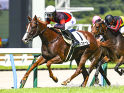 カラープリント(アルミ枠なし)2023年8月27日小倉1R 2歳未勝利(アートフォーム)