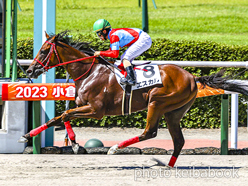 カラーパネル2023年8月27日小倉2R 2歳未勝利(エスカル)