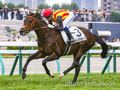 カラープリント(アルミ枠なし)2023年8月27日札幌5R 2歳新馬(ドゥレイクパセージ)