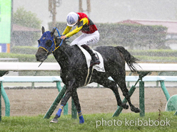 カラーパネル2023年8月27日札幌6R 3歳未勝利(ブラックヴァール)