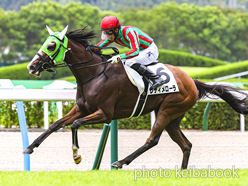 カラープリント(アルミ枠なし)2023年9月2日小倉3R 3歳未勝利(レディメローラ)