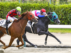 カラープリント(アルミ枠なし)2023年9月2日新潟3R 3歳未勝利(キョウエイジョイ)