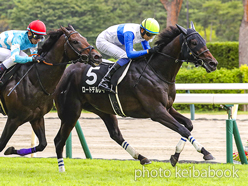 カラープリント(アルミ枠付き)2023年9月2日新潟10R 赤倉特別(ロードデルレイ)