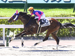 カラーパネル2023年9月3日小倉8R 3歳以上1勝クラス(メイショウカゼマチ)