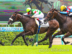 カラーパネル2023年9月10日中山5R 2歳新馬(シックスペンス)