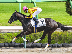 カラープリント(アルミ枠付き)2023年9月10日中山6R 3歳以上1勝クラス(フラッパールック)