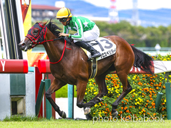 カラーパネル2023年9月17日阪神7R 3歳以上1勝クラス(プロスペリダード)