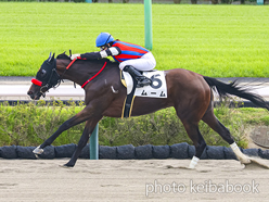 カラープリント(アルミ枠付き)2023年9月17日中山1R 2歳未勝利(ムーム)