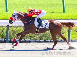 カラープリント(アルミ枠付き)2023年9月18日中山3R 2歳未勝利(カルフ)