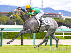 カラーパネル2023年9月23日阪神2R 2歳未勝利(エトヴプレ)