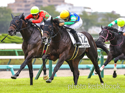 カラープリント(アルミ枠付き)2023年9月30日中山4R 2歳未勝利(アバンデル)