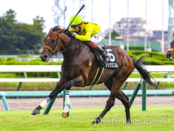 カラープリント(アルミ枠付き)2023年9月30日中山9R 芙蓉ステークス(シリウスコルト)