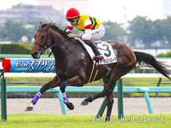 カラーパネル2023年10月1日中山2R 2歳未勝利(オーサムストローク)