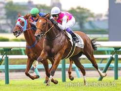 カラープリント(アルミ枠付き)2023年10月1日中山3R 2歳新馬(ジューンブレア)