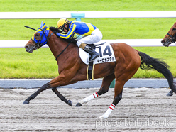 カラーパネル2023年10月9日京都8R 3歳以上1勝クラス(ギーロカスタル)